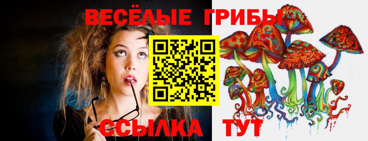 Псилоцибиновые грибы GOLDEN TEACHER  Псилоцибиновые грибы Magic Shrooms  Вход с VPN  Верхняя Пышма 